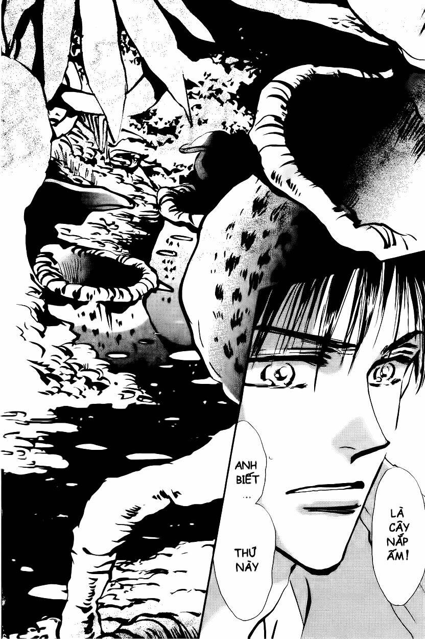 7 mầm sống chapter 4 18