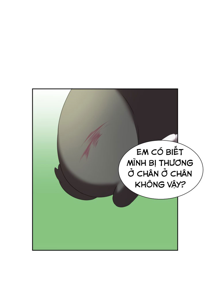 công chúa giả mạo và chú thỏ con chapter 2 11