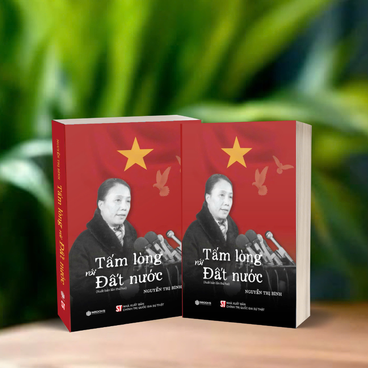 Sách - Tấm Lòng Với Đất Nước