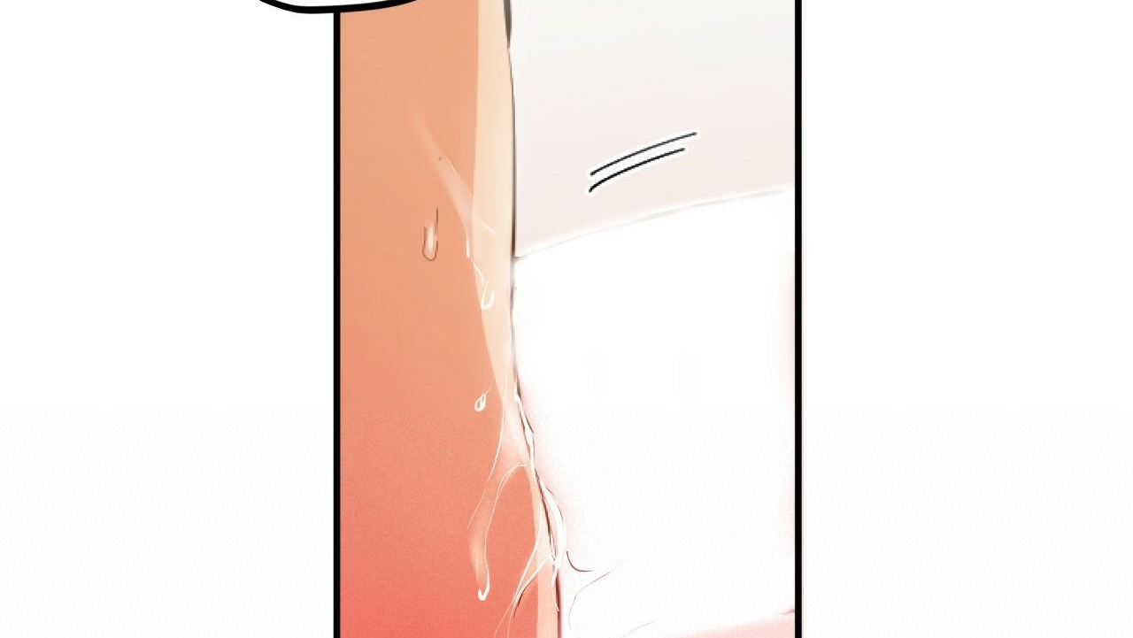 đàn thỏ của habibi chapter 33 166