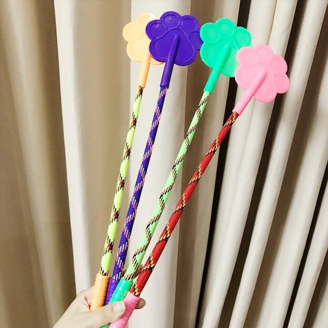 Roi huấn luyện cún cưng