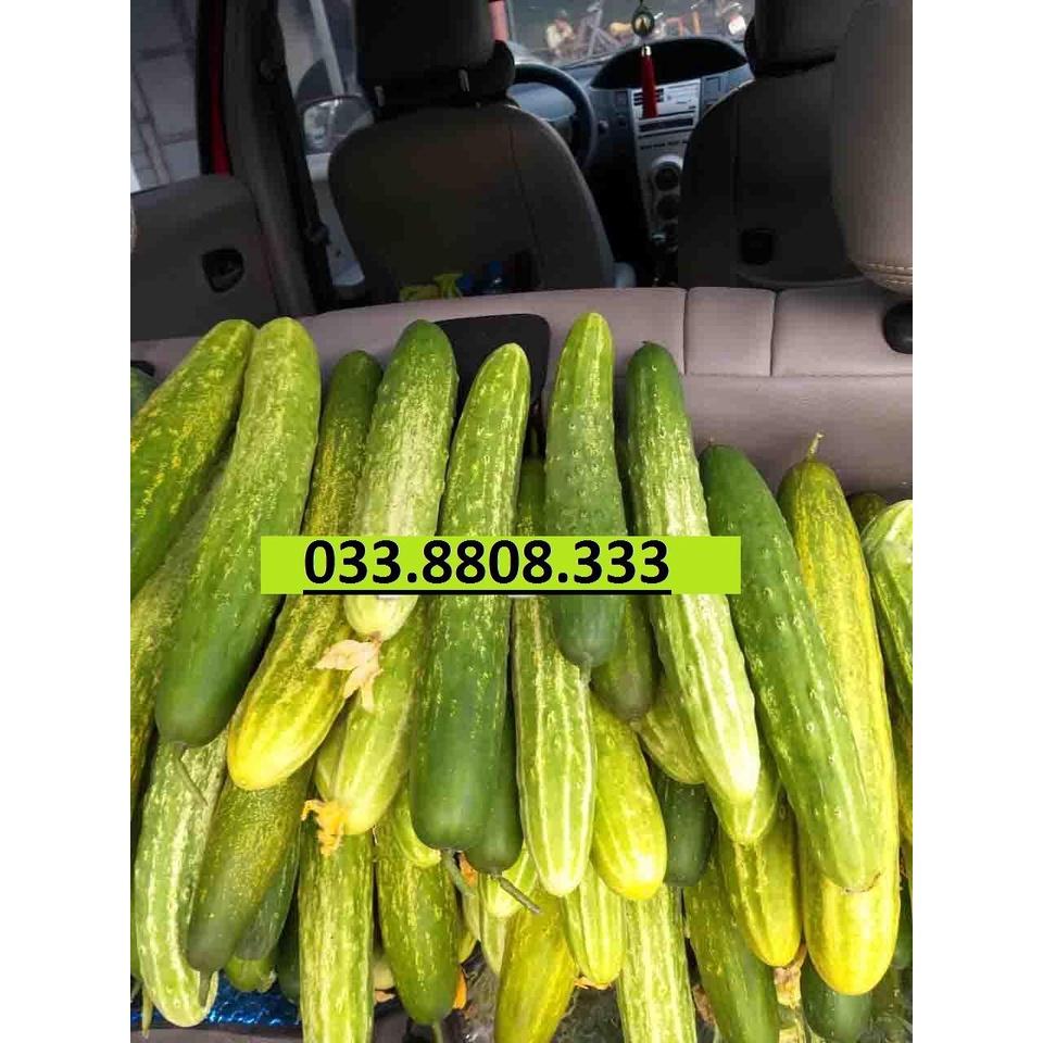 HẠT GIỐNG DƯA NẾP LAI GÓI 1G - TỶ LỆ NẢY MẦM CAO