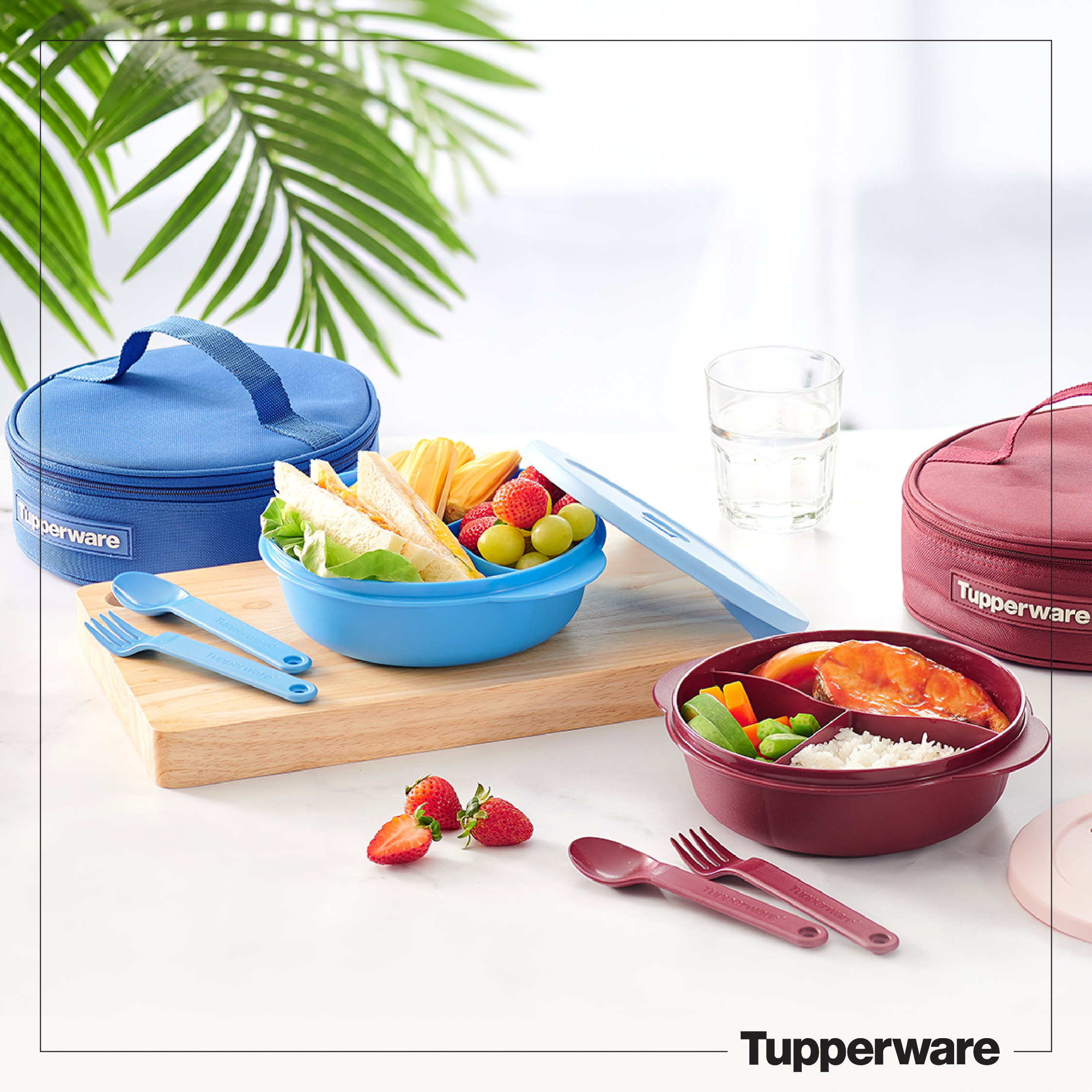 Bộ Hộp Cơm Tupperware Crysral Wave Lunch Set Kèm Muỗng Nĩa & Túi Đựng