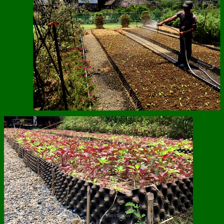 1 MÉT Bầu ươm cây V6 CAO 50CM dày 6mm, cắt theo mét dài khách đặt, tặng ốc vít-77902