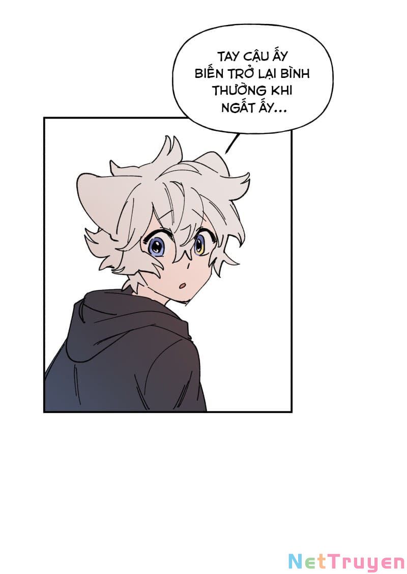 lumine - cội nguồn ánh sáng chapter 111 11