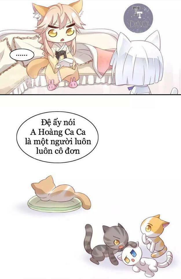 dưới móng vuốt mèo chapter 18 15