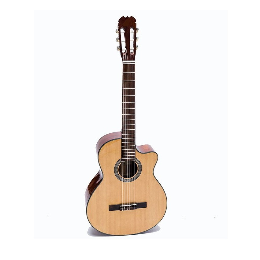 ĐÀN GUITAR CLASSIC DC100