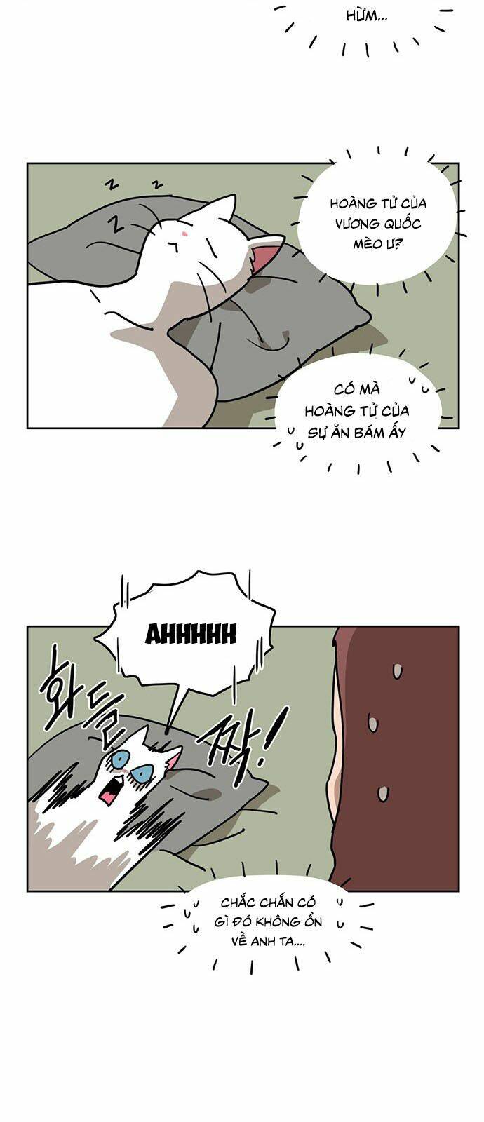 hoàng tử vương quốc mèo chapter 9 7