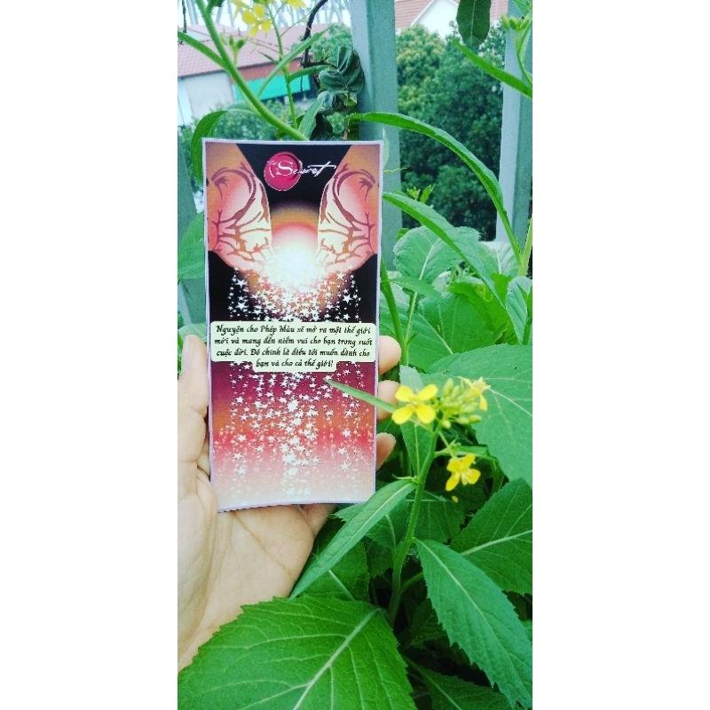 BỘ THẺ THE MAGIC - PHÉP MÀU 28 NGÀY THỰC HÀNH LÒNG BIẾT ƠN CAO CẤP MẶT BÓNG
