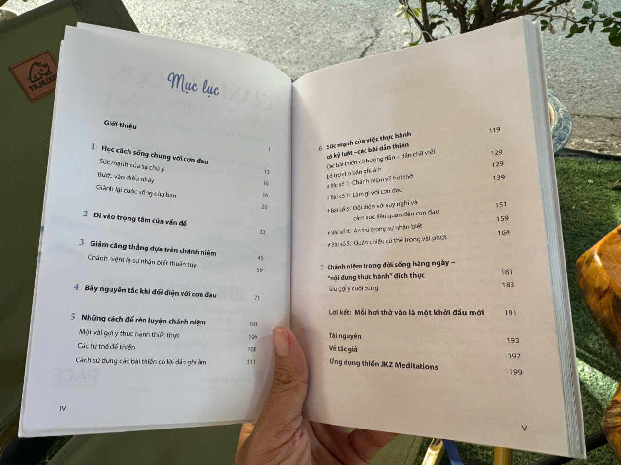 (Bìa Cứng) GIẢM ĐAU ĐỚN BẰNG THIỀN ĐỊNH - Jon Kabat-Zinn - Lê Hồng Vân dịch – PACE Books - NXB Dân Trí