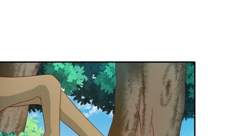 đô đốc đại nhân sủng thê kí chapter 2.3 71