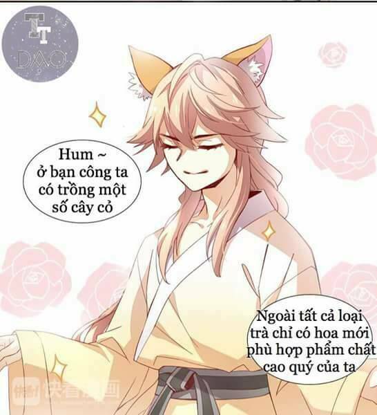 dưới móng vuốt mèo chapter 2 24