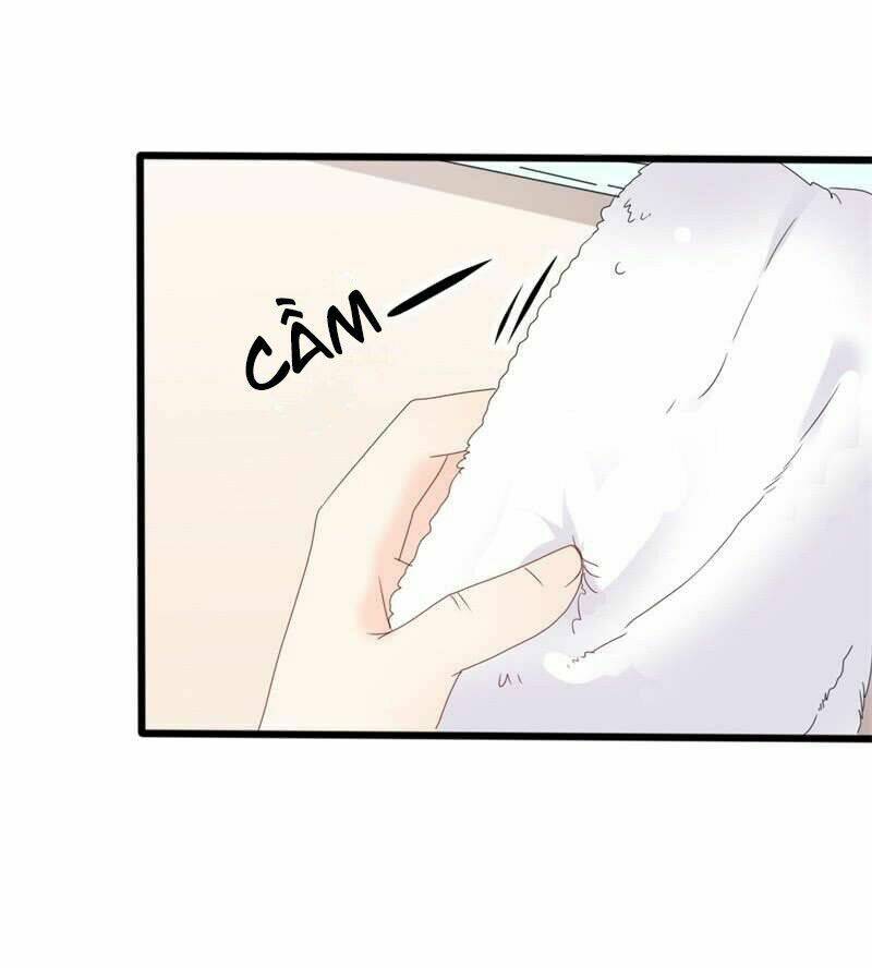 ngạo kiều tổng tài sủng điềm thê chapter 36 5