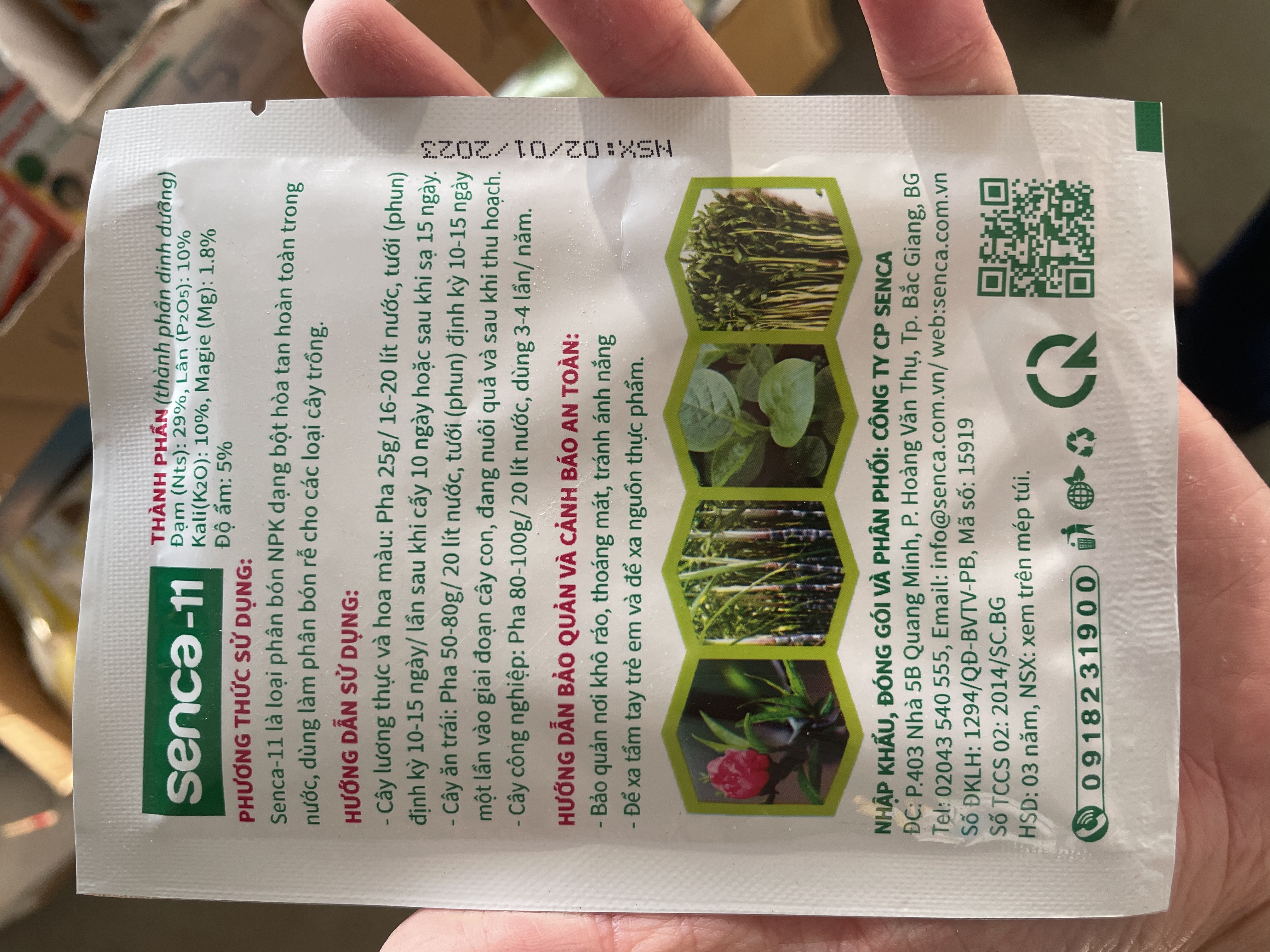 Phát chồi mạnh, nẩy lộc nhanh Senca 11