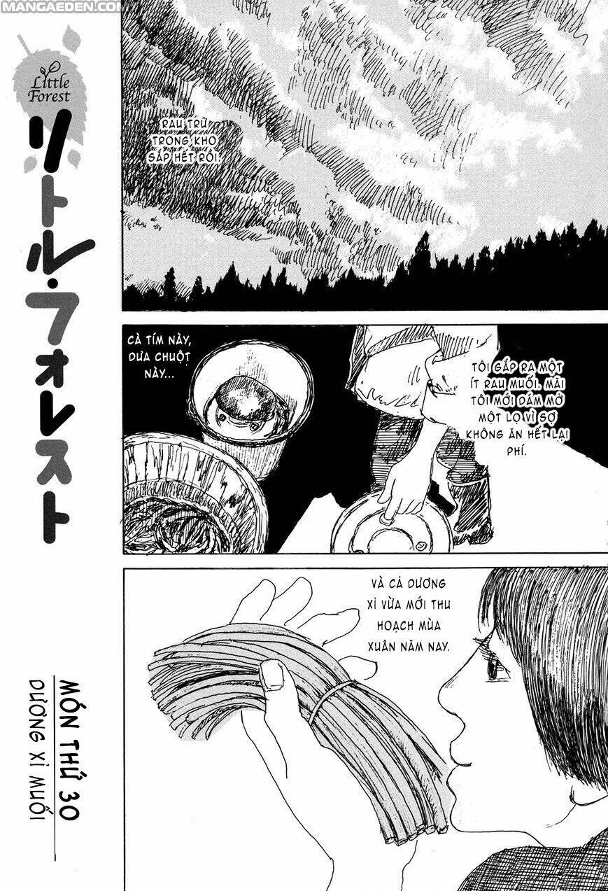 little forest chapter 30 1