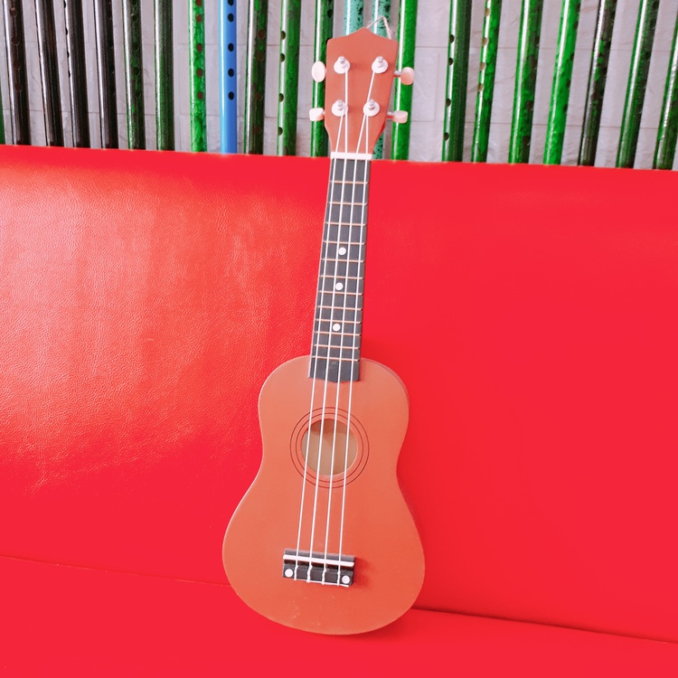 Đàn ukelele nhiều màu sắc đáng yêu