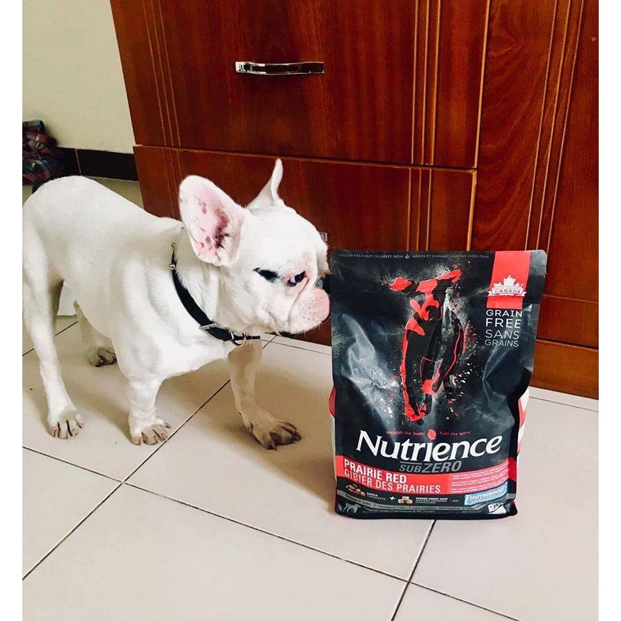 Thức Ăn Hạt Cho Chó Bulldog Nutrience Subzero Bao 500g Xương Cơ Khớp, Mượt Lông - 6 Loại Thịt Cá, Rau Củ, Trái Cây