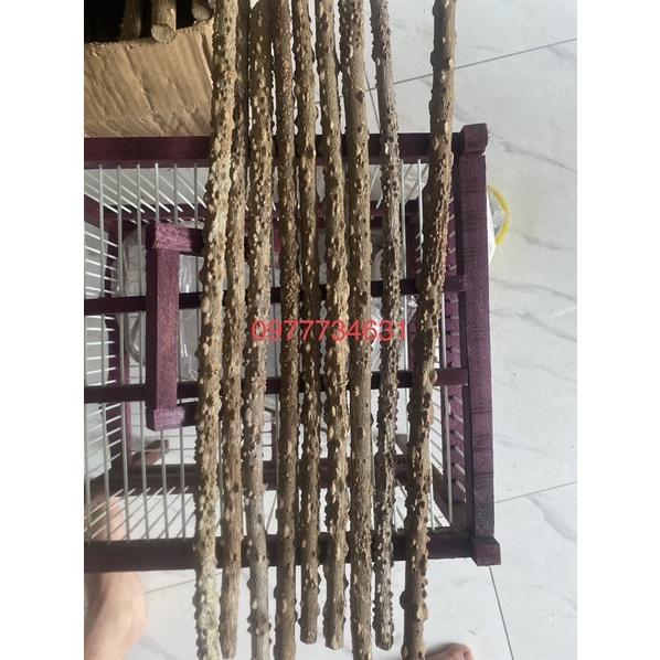 Cầu gạo hàng Tuyển Loại 1 nhiều gai, mắt đều phụ kiện lồng chim chào mào,chích choè hoạ mi, khướu