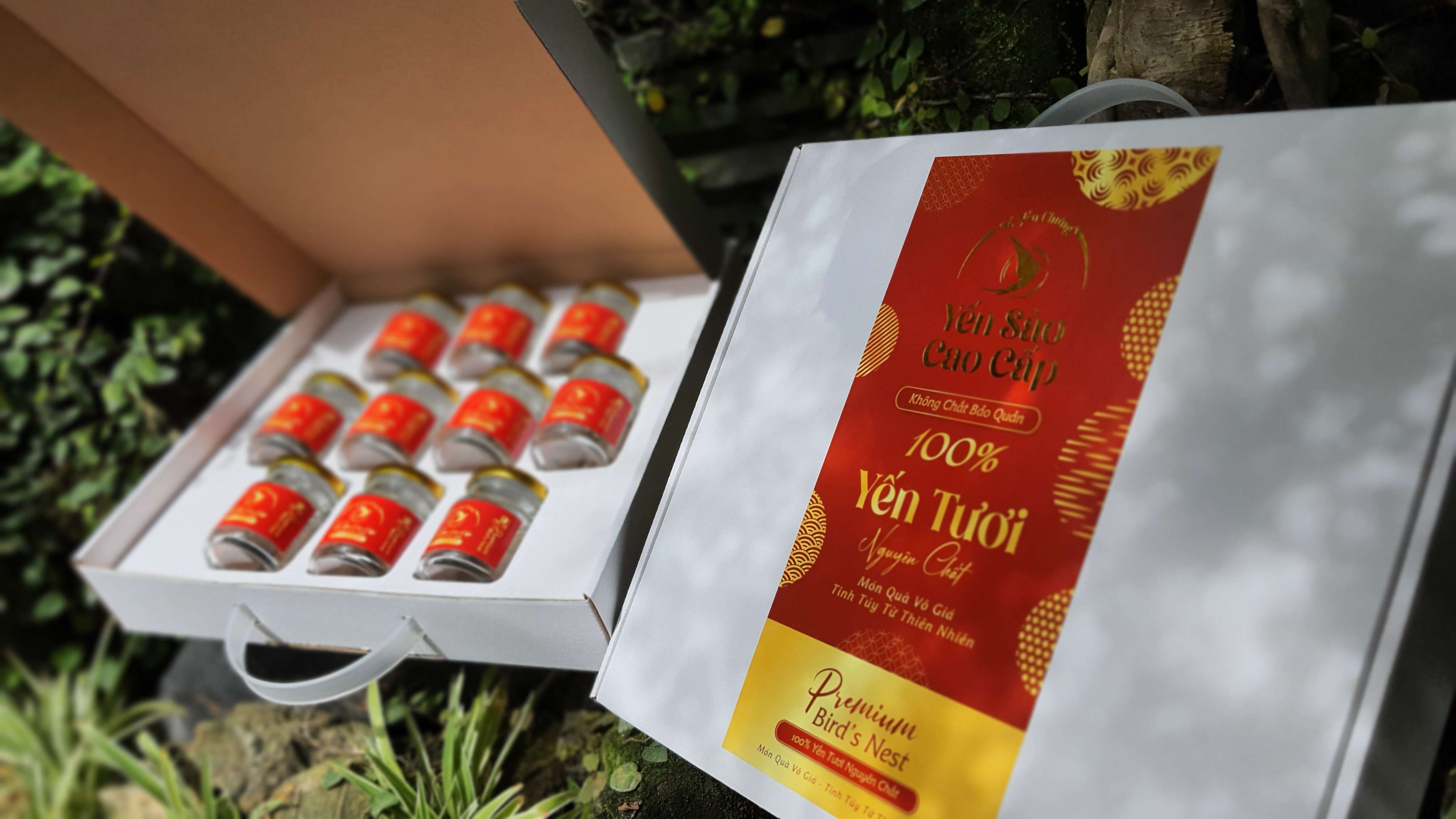 Hộp đựng 10 hủ yến chưng cao cấp