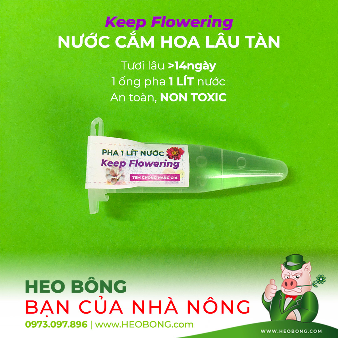 Nước Cắm Hoa Lâu Tàn Keep Flowering