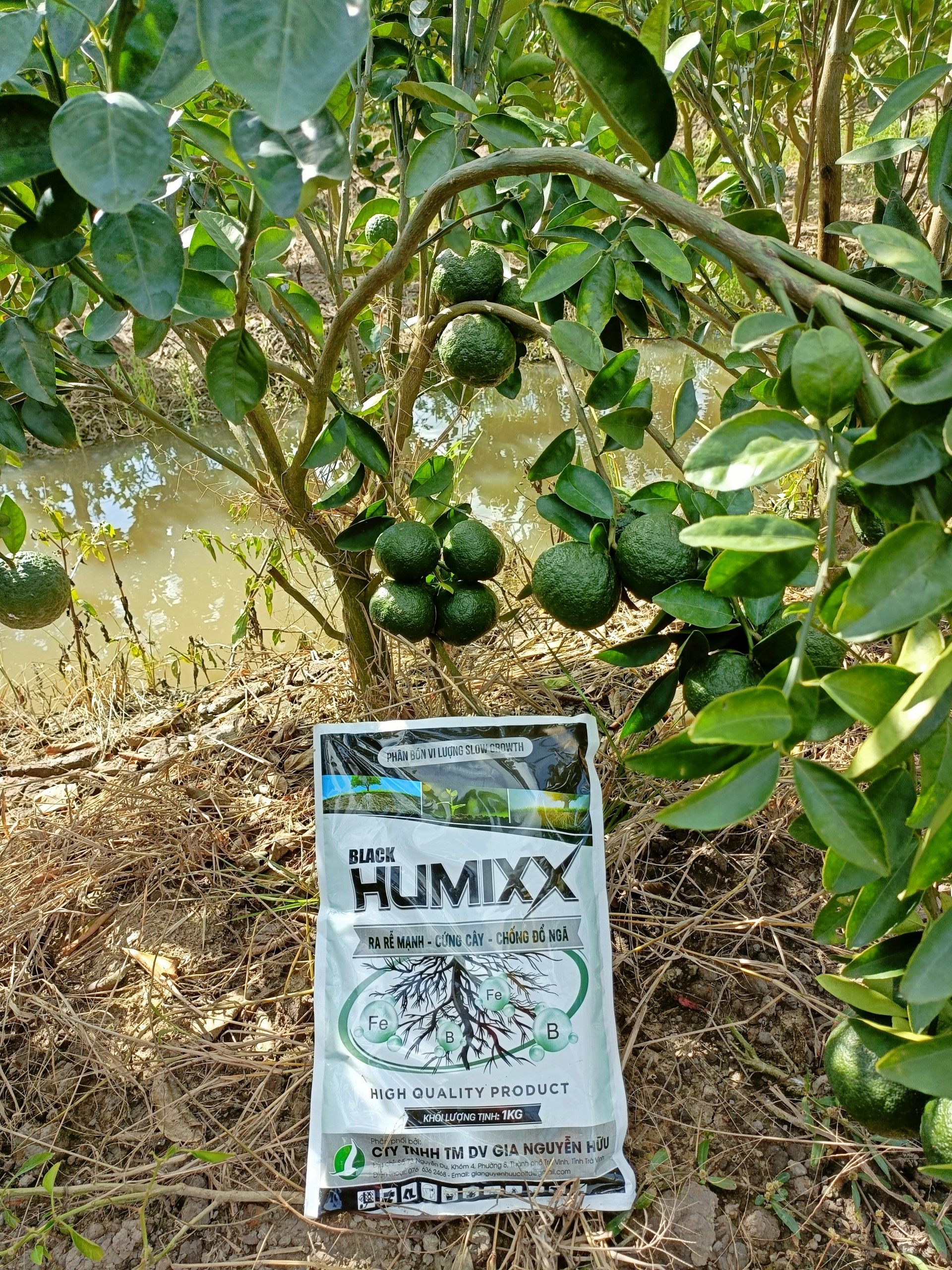 PHÂN BÓN VI LƯỢNG BLACK HUMIXX