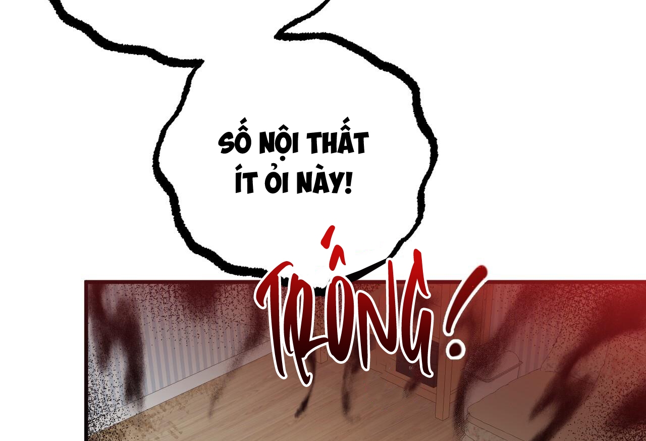 những chú thỏ của hapypy chapter 57 238