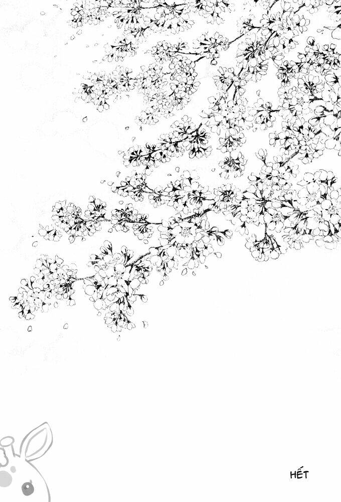 hạnh phúc và ước muốn của cậu là…? chapter 2 30