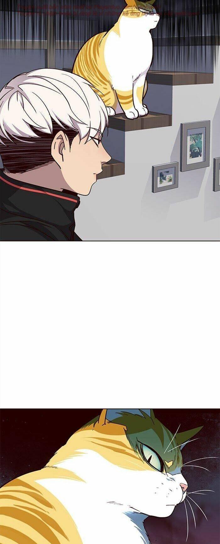 biến thân thành mèo chapter 35 13