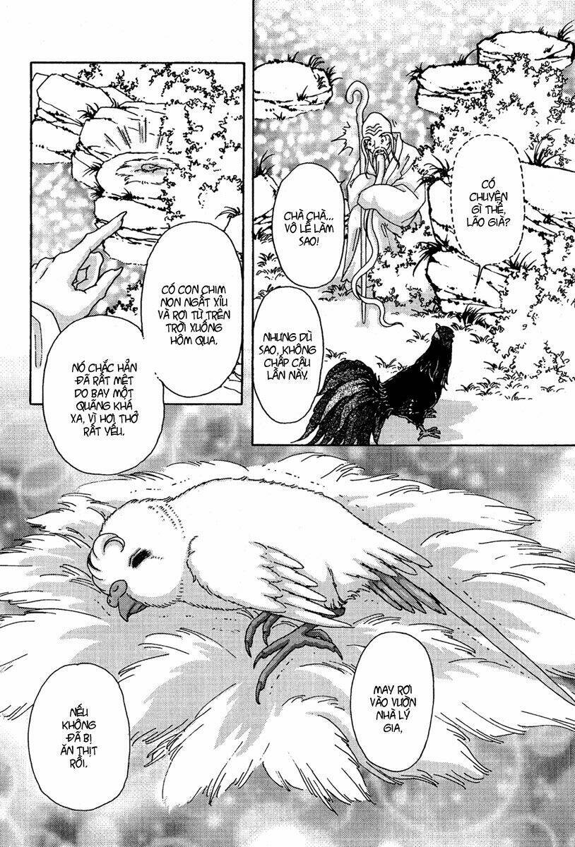 bird of youth chapter 6 3