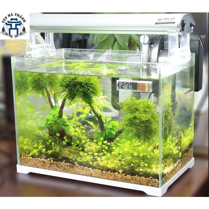 Nhiệt Kế Điện Tử Dán Ngoài Bể Cá Cảnh, Bể Thủy Sinh