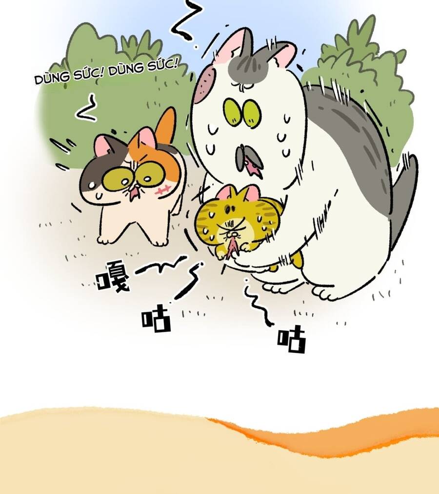 a mãn và mạch trà chapter 187 3