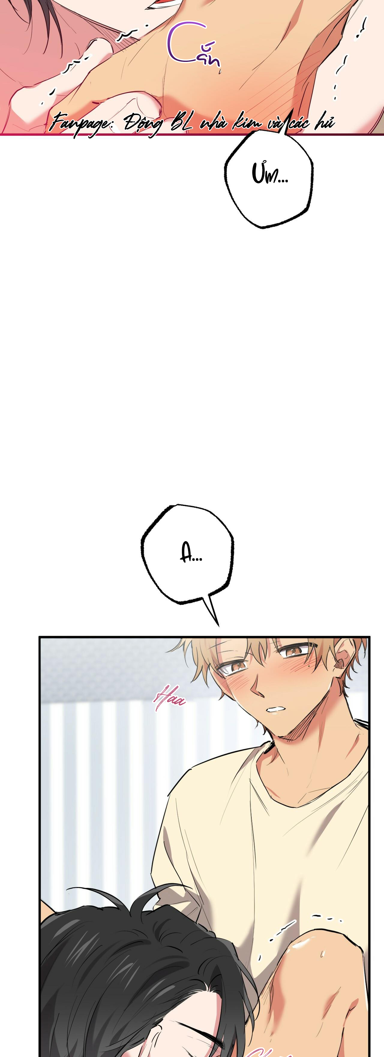 những chú thỏ của hapypy chapter 38 3