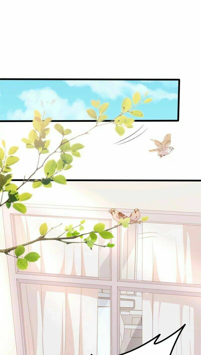 ngạo kiều tổng tài sủng điềm thê chapter 48 26