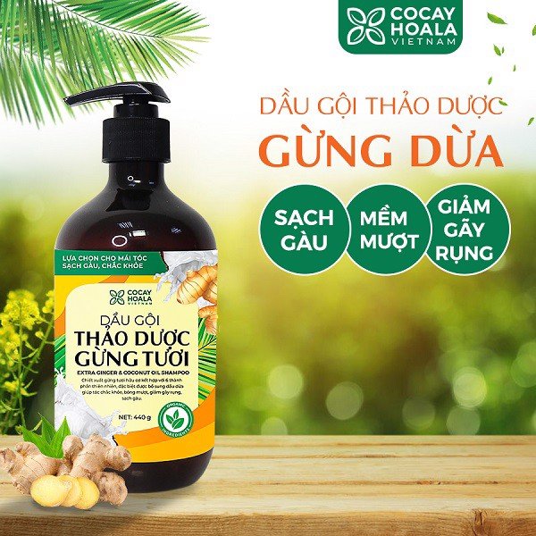 dầu gội dược gừng dừa làm sạch gàu nấm ngứa chỉ sau 7 ngày sử dụng