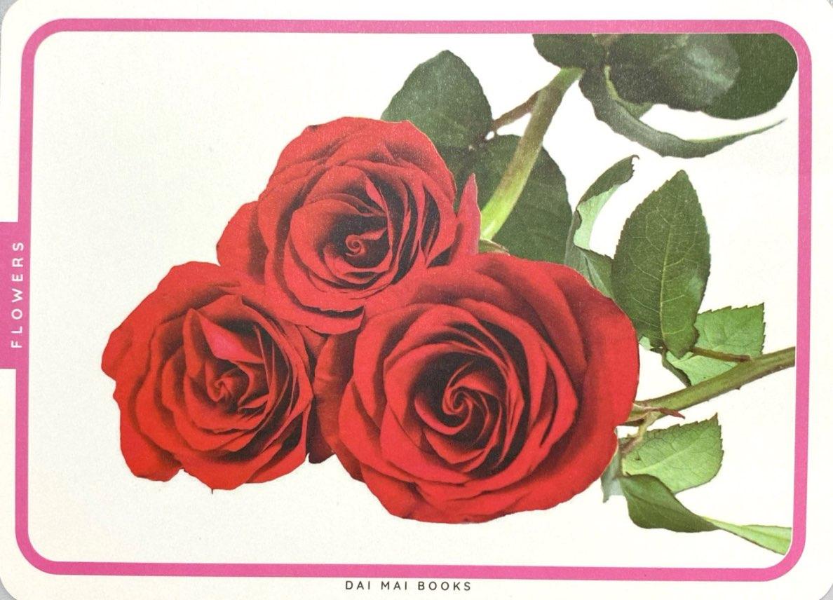 Sách - Flash Card - Thẻ Học Thông Minh Theo Phương Pháp Giáo Dục Sớm Glenn Doman - Các Loài Hoa Và Trái Cây - Flowers And Fruits