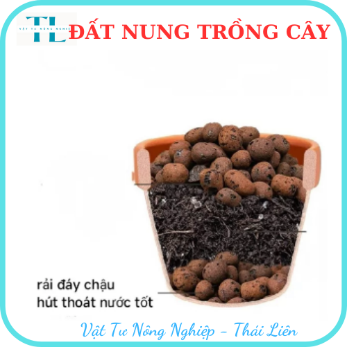 Hạt đất nung trồng cây thái lan, nhiều size, vô trùng, sử dụng lâu dài, trồng sen đá, phong lan, sứ, thuỷ canh