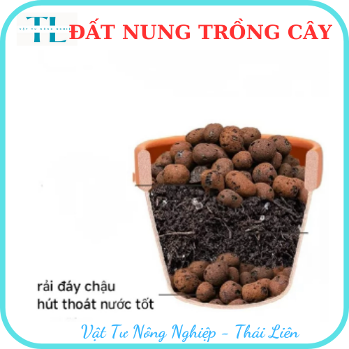 Hạt đất nung trồng cây thái lan, nhiều size, vô trùng, sử dụng lâu dài, trồng sen đá, phong lan, sứ, thuỷ canh (Bịch 1dm3 = 0.5kg)