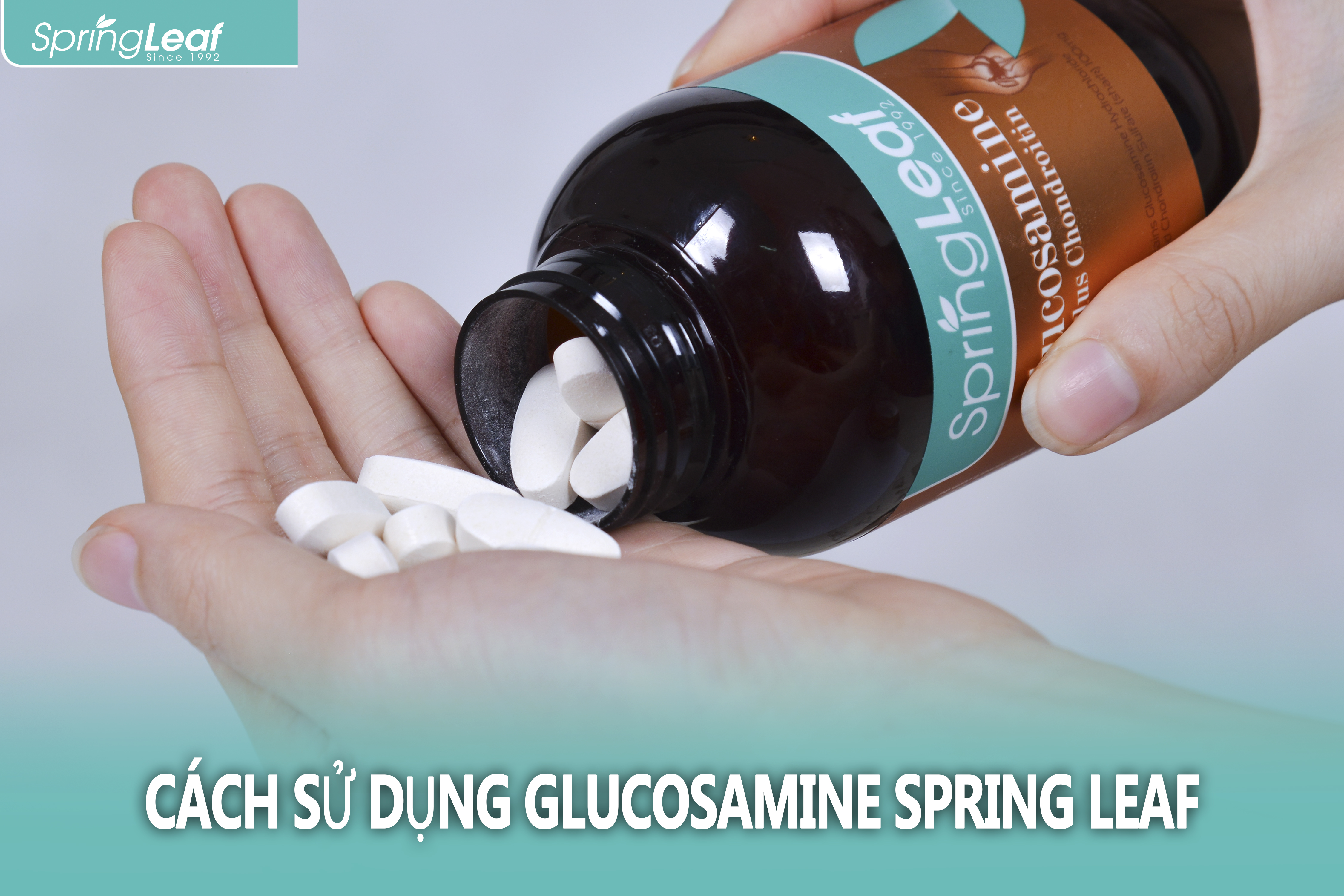 Spring Leaf Glucosamine 1500 Plus Chondroitin – Giảm Đau Chống Viêm – Tái Tạo Sụn Khớp