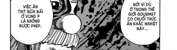 thánh tỏi sành ăn chapter 295 19