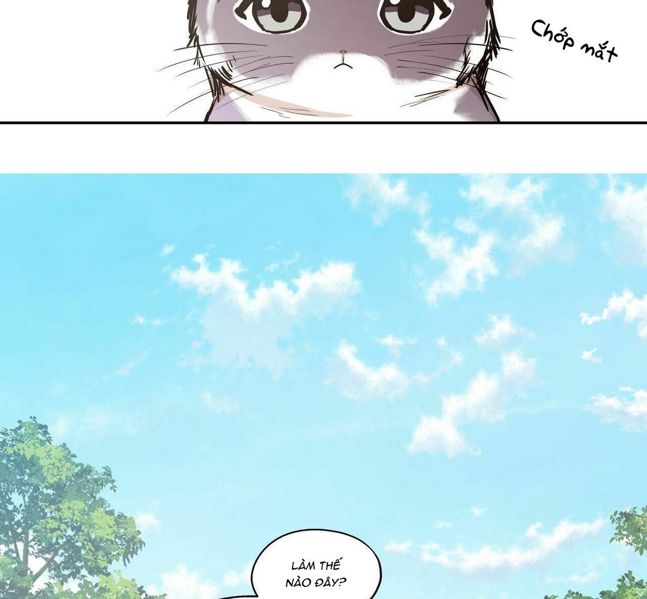 không chốn yêu đương chapter 68 3