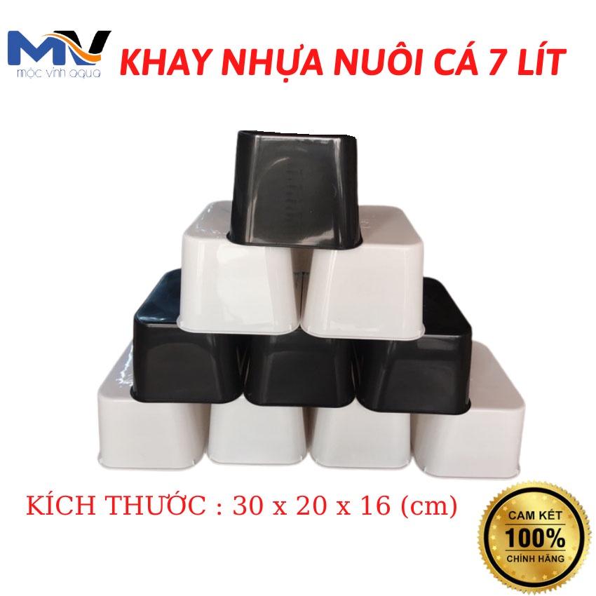 Khay nhựa nuôi cá Guppy kích thước 30x20x16 cm