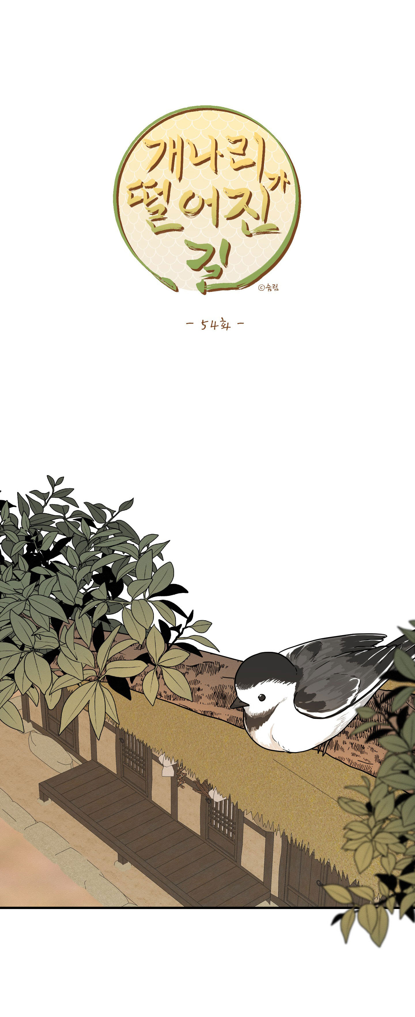 [18+] con đường hoa chuông vàng - liên kiều rơi chốn này chapter 54.1 12