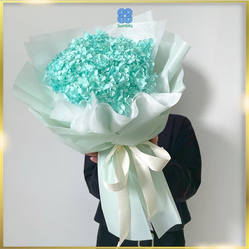Hoa cẩm tú cầu màu xanh mint