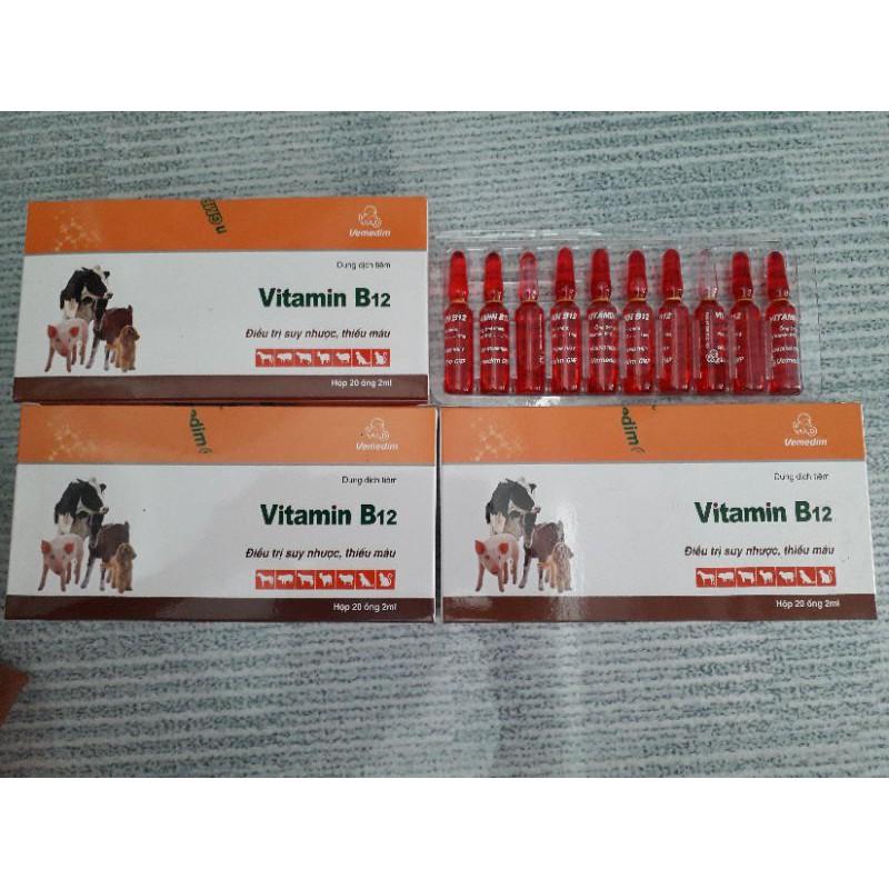 1 ống vitamin b12. ống 2ml chích. bổ máu gà đá, thú cưng
