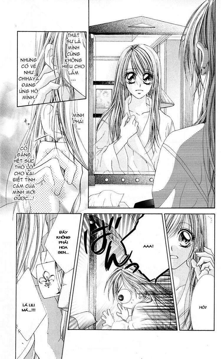 honey x honey drop chapter 12 22