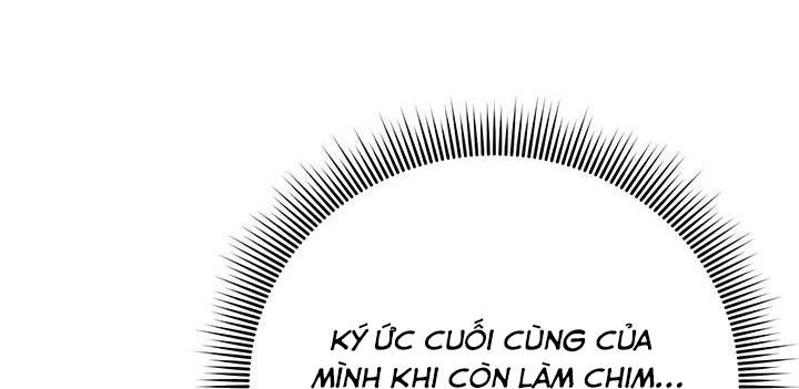 công chúa của loài chim chapter 44.1 8