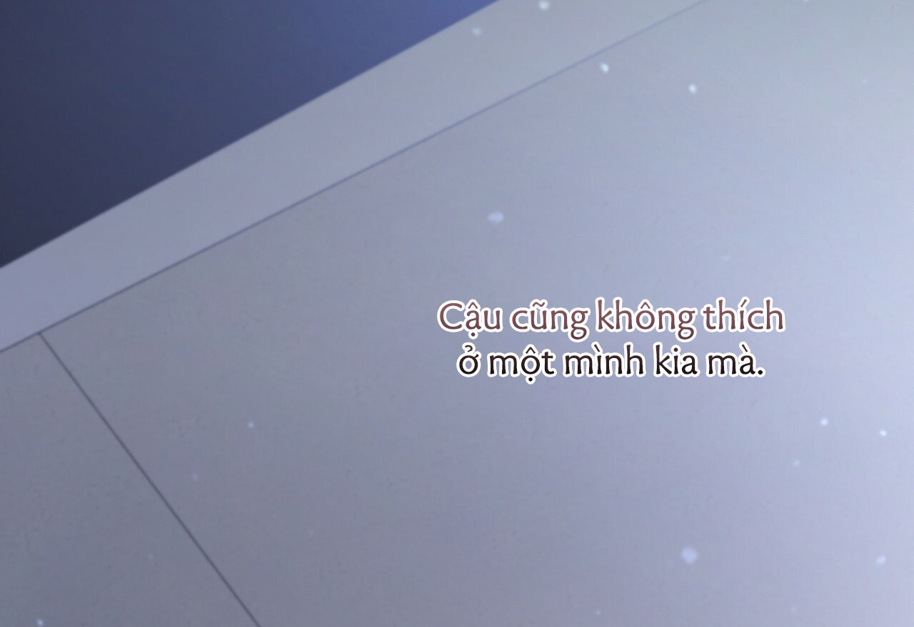 đàn thỏ của habibi chapter 19 212