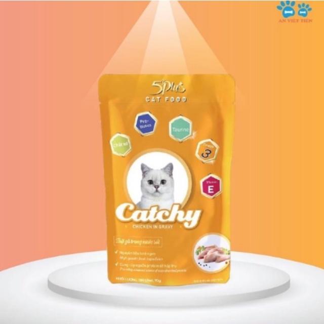 Combo 10 và 20 gói Pate Catchy 5plus dành cho mèo cưng dạng gói 70g nhiều vị hàng việt nam chất lượng cao