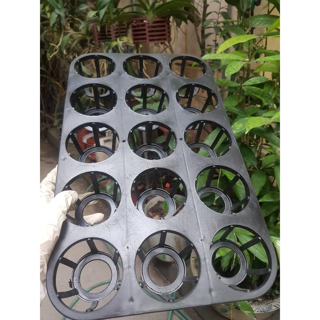 Combo 1 bộ 5 khay bao gồm cả chậu 2.5 inch đủ bộ trồng hồ điệp, Cat, kie con, cây giống