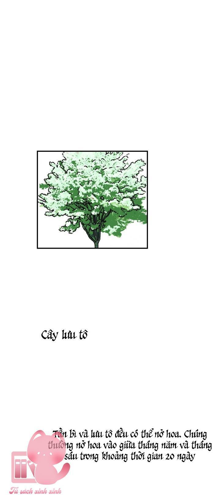 xin chào, mùa hạ chapter 1 2